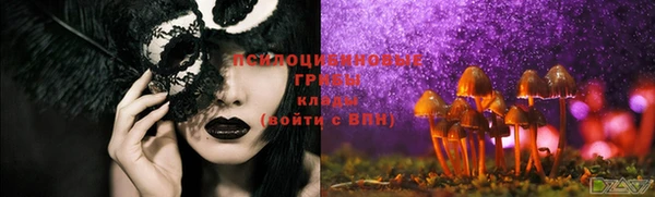 дживик Мегион