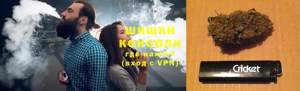 шишки Медногорск
