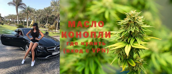 шишки Медногорск