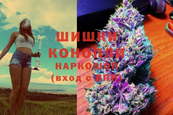 шишки Медногорск