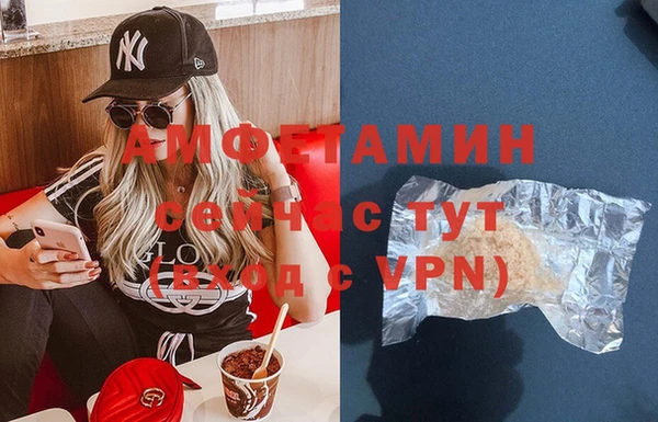 шишки Медногорск